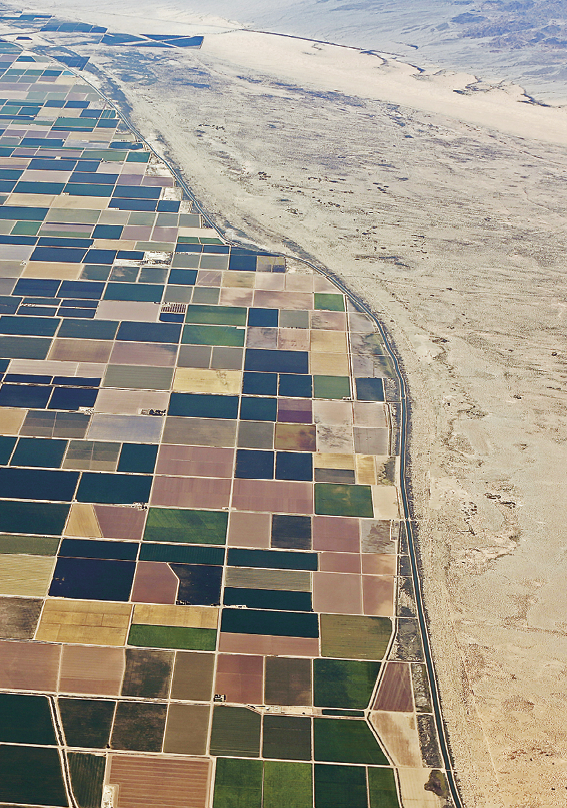 Fotografia. Vista aérea de uma grande área de terra dividida em pequenos lotes quadrados, em tons de verde e marrom. À direita, solo arenoso em bege-claro.
