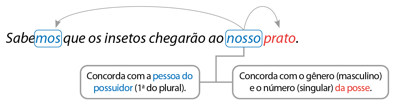 Esquema. Sabemos que os insetos chegarão ao nosso prato. Há um retângulo em torno de 'mos', de 'sabemos'. Outro retângulo envolve a palavra 'nosso'. Uma seta liga 'nosso' a 'mos'. Outra liga 'nosso' a 'prato'. 'nosso' - concorda com a pessoa do possuidor (primeira do plural) 'nosso' - concorda com o gênero (masculino) e o número (singular) da posse.