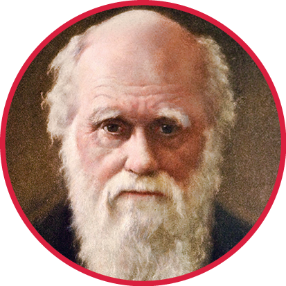 Pintura. Charles Darwin, senhor calvo, de cabeça oval, cabelos, barba e sobrancelhas brancos. Tem olhos arredondados. Os lábios são finos.