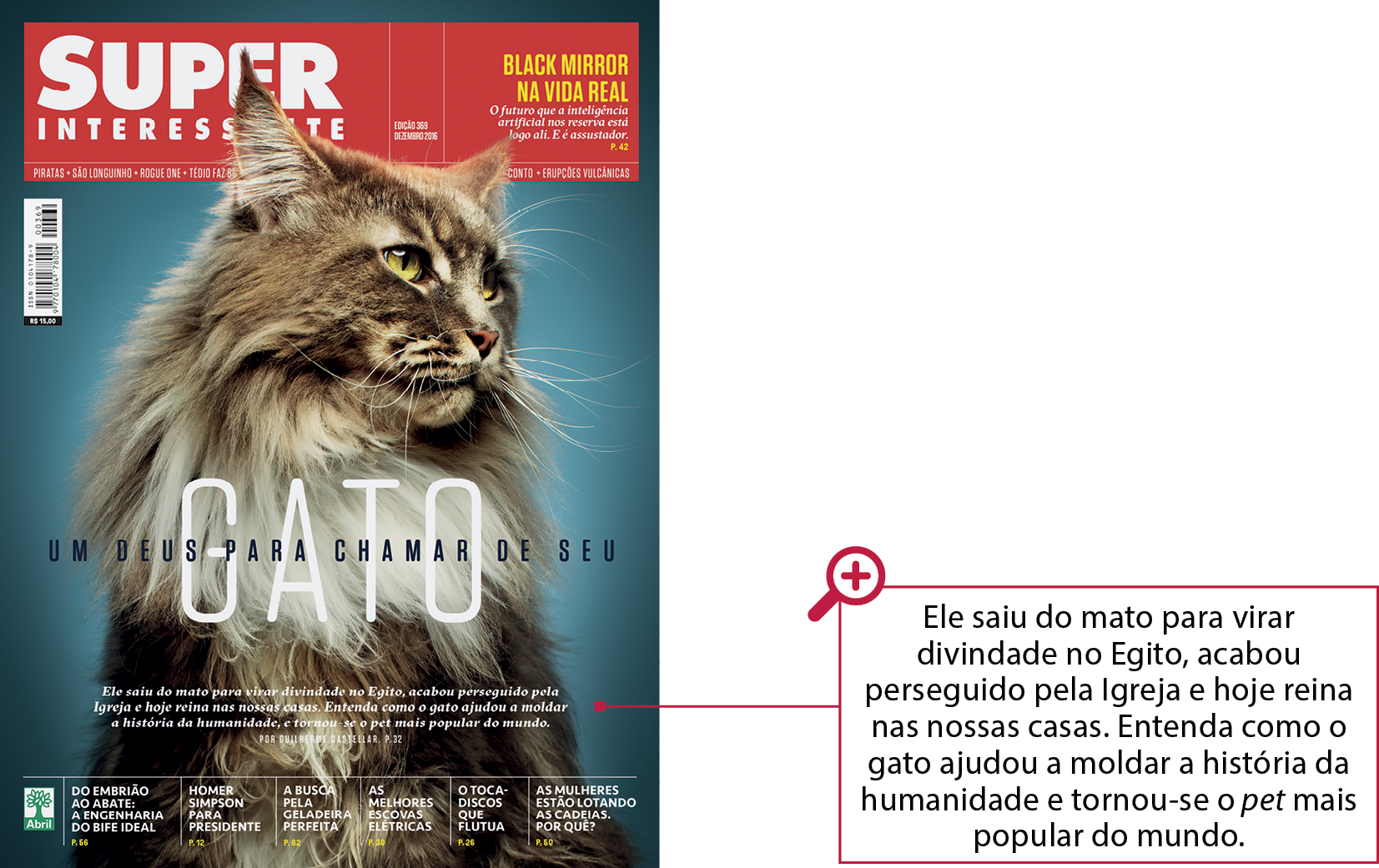 Capa de revista. Na parte superior, o nome da revista: SUPER INTERESSANTE. Ao lado, outras informações. Abaixo, a fotografia de um gato peludo. Sobreposto à imagem do gato, o título da matéria principal: GATO. UM DEUS PARA CHAMAR DE SEU. Subtítulo: Ele saiu do mato para virar divindade no Egito, acabou perseguido pela Igreja e hoje reina nas nossas casas. Entenda como o gato ajudou a moldar a história da humanidade e tornou-se o pet mais popular do mundo.