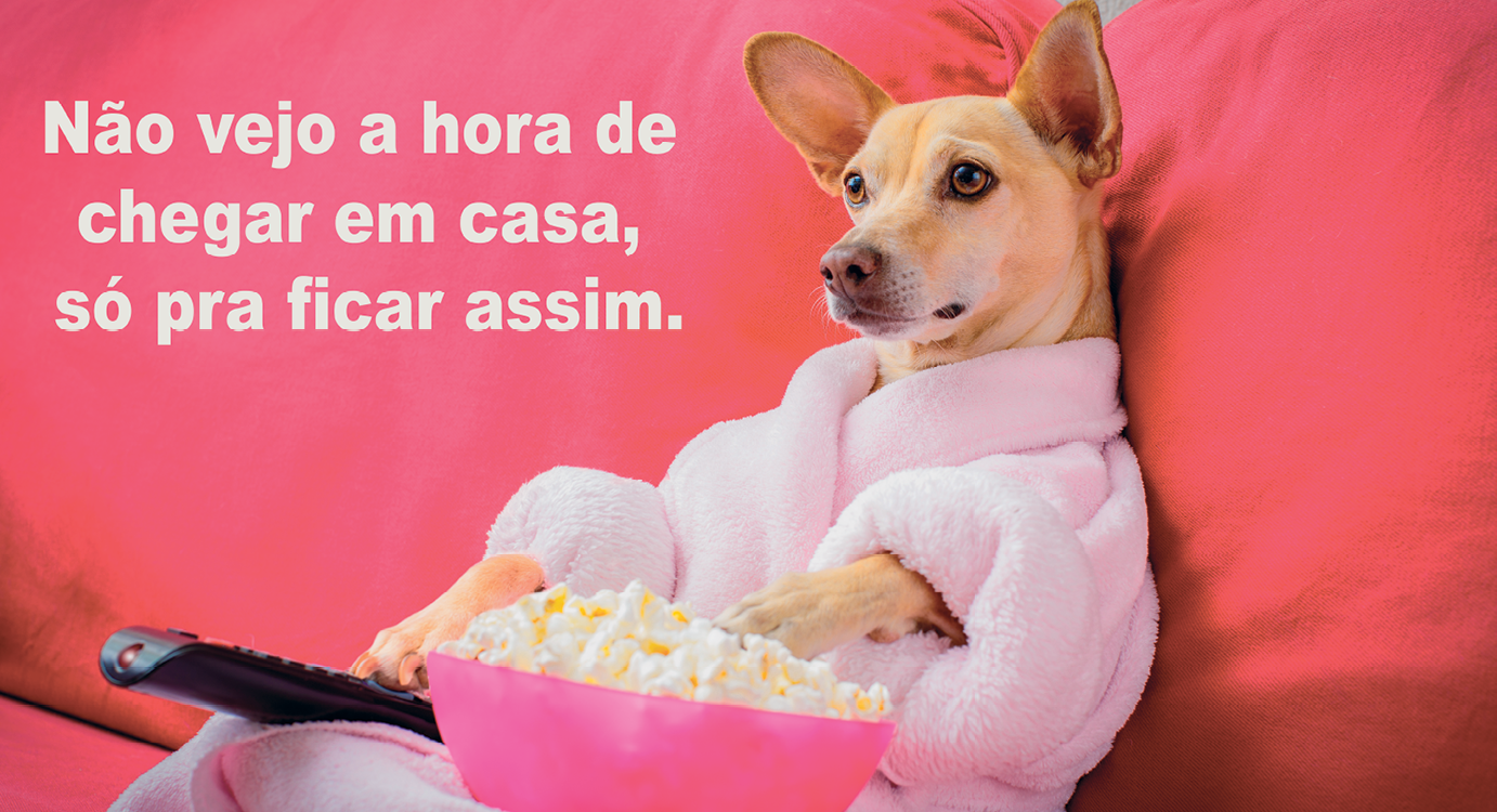 Meme. Fotografia de cachorro de pelo curto e claro, está sentado no sofá, usando um roupão, com o controle remoto no colo e comendo pipoca. No canto superior esquerdo da foto a frase: NÃO VEJO A HORA DE CHEGAR EM CASA, SÓ PARA FICAR ASSIM.