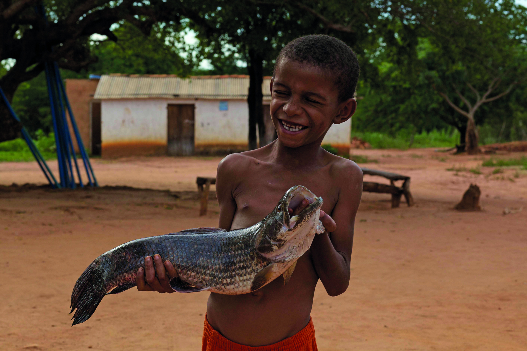 Fotografia. À frente, um menino visto da cintura para cima em local aberto. Ele é negro, cabelos curtos e escuros, sem camiseta. Ele segura nas mãos um peixe cinza com boca aberta. O menino está sorrindo com os olhos fechados. Ao fundo, árvores com folhas verdes, uma casa de paredes brancas, telhado e porta marrom.