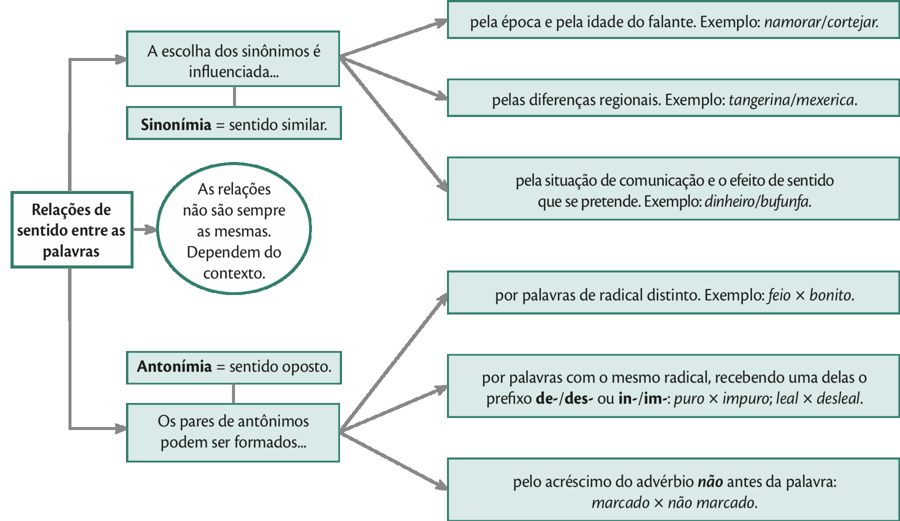 Organograma. 
Relações de sentido entre as palavras 
As relações não são sempre as mesmas. Dependem do contexto. 

Sinonímia igual sentido similar.
A escolha dos sinônimos é influenciada... 
- pela época e pela idade do falante. Exemplo: namorar/cortejar. 
- pelas diferenças regionais. Exemplo: tangerina/mexerica. 
- pela situação de comunicação e o efeito de sentido que se pretende. Exemplo: dinheiro/bufunfa. 

Antonímia igual sentido oposto. 
Os pares de antônimos podem ser formados... 
- por palavras de radical distinto. Exemplo: feio versus bonito. 
- por palavras com o mesmo radical, recebendo uma delas o prefixo de-/des- ou in-/im-: puro versus impuro; leal versus desleal. 
- pelo acréscimo do advérbio não antes da palavra: marcado versus não marcado.