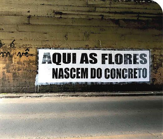 Fotografia. Sobre uma parede de tijolos em tons de cinza e marrom, há uma parte em branco onde aparece o texto: AQUI AS FLORES NASCEM DO CONCRETO.