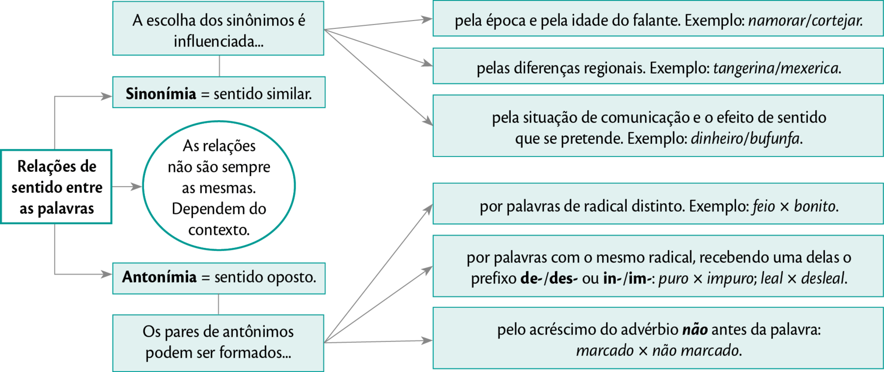 Esquema horizontal. Primeiro nível: 'Relações de sentido entre as palavras'. Daqui, ramificam-se três setas indicando: SETA 1: 'SINONÍMIA = SENTIDO SIMILAR'; SETA 2: "As relações não são sempre as mesmas. Dependem do contexto.'; SETA 3: ANTONÍMIA = SENTIDO OPOSTO. Na seta 1 do nível 2, abre outra em mesmo nível, mas com quadro acima: "A escolha dos sinônimos é influenciada...'. Dela, ramificam três setas para o nível três: SETA 1: ' - pela época e pela idade do falante. Exemplo: namorar/cortejar.'; SETA 2: '- pelas diferenças regionais. Exemplo: tangerina/mexerica.'; SETA 3: '- pela situação de comunicação e o efeito de sentido que se pretende. Exemplo: dinheiro/bufunfa.' Na seta 3 do nível 2, abre outra em mesmo nível, mas com quadro abaixo: ' Os pares de antônimos podem ser formados...'. Dela, ramificam três setas para o nível três: SETA 1: '- por palavras de radical distinto. Exemplo: feio × bonito.'; SETA 2: '- por palavras com o mesmo radical, recebendo uma delas o prefixo de-/des- ou in-/im-: puro × impuro; leal × desleal.'; SETA 3: '- pelo acréscimo do advérbio não antes da palavra: marcado × não marcado.'