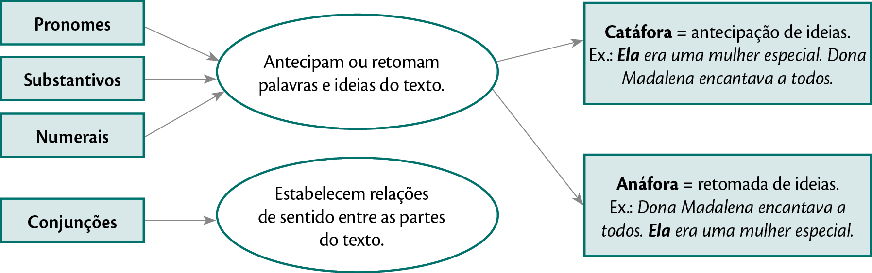 Esquema. Ao centro, duas informações em formato oval: 1: Coesão textual e classes de palavras. 2. Estabelecem relações de sentido entre as partes do texto. Dessa informação, há uma seta indicando CONJUNÇÕES. Da primeira informação, há cinco setas: SETA 1: Pronomes; SETA 2: Substantivos; SETA 3: Numerais; SETA 4: Catáfora = antecipação de ideias. Ex.: Ela era uma mulher especial. Dona Madalena encantava a todos. SETA 5: Anáfora = retomada de ideias. Ex.: Dona Madalena encantava a todos. Ela era uma mulher especial.