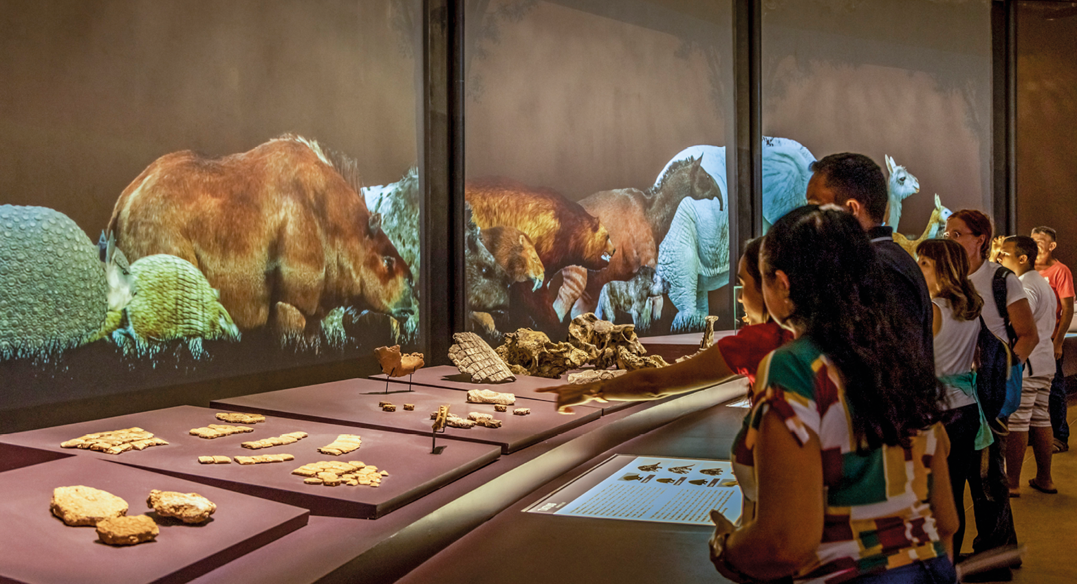 Fotografia. Diversas pessoas estão em pé diante de uma mesa com tábuas e objetos e pedras sendo expostos. Ao fundo, há três telas com molduras pretas e imagens de reproduções de animais.