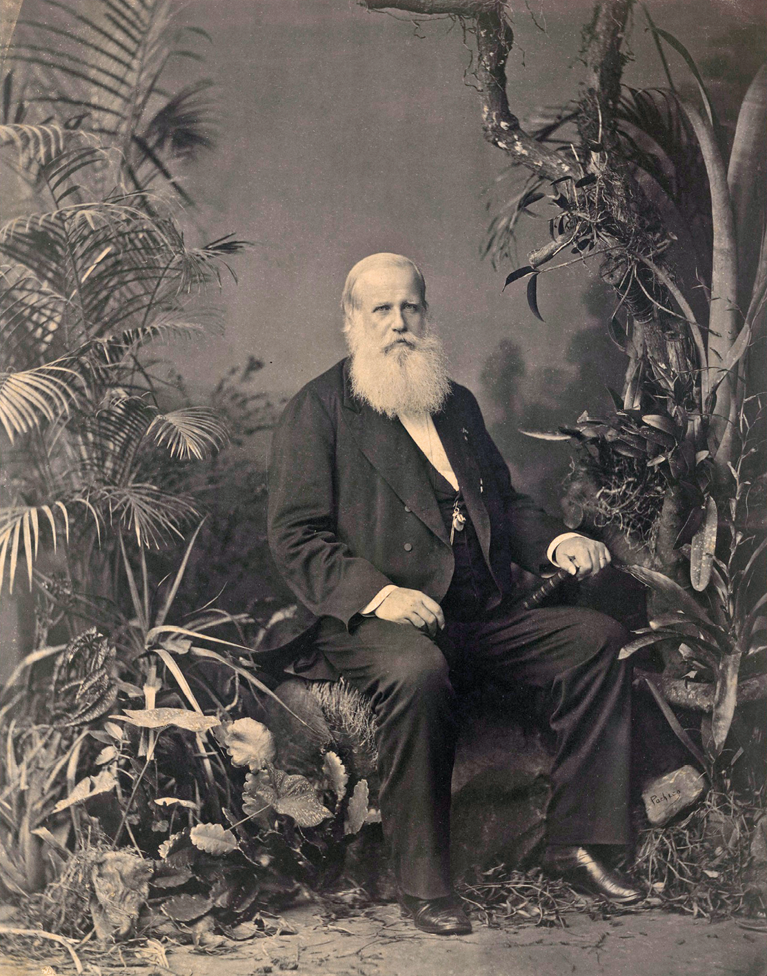 Fotografia. Retrato de corpo inteiro de D. Pedro II, um homem de cabelo branco e curto penteado para trás, de barba branca e grande, usando terno preto, calça e sapatos pretos, está sentado sobre uma poltrona escura com a mão direita sobre a perna. Ao lado há diversas plantas.