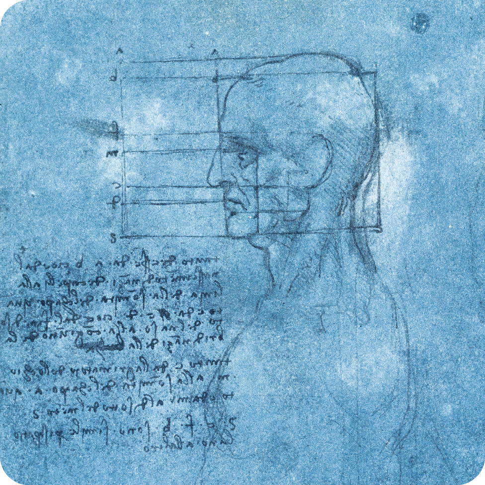 Desenho. Sobre uma folha azulada há traços finos de lápis retratando uma figura humana vista de lado; sobre seu rosto, há linhas que se cruzam formando quadrados e retângulos. Na parte inferior esquerda, há um texto.