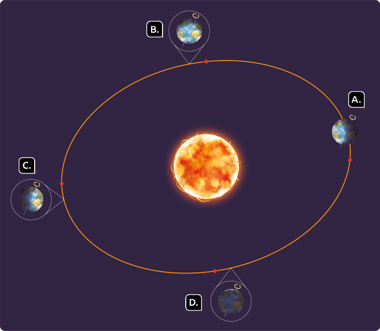 Ilustração. Linha esférica, representando a órbita da Terra, com o Sol ao centro e a Terra em quatro posições, com diferentes partes iluminadas. A indicação do eixo de rotação da terra está levemente inclinada para direita nas 4 posições. Posição A. Terra com hemisfério Sul mais iluminado. Posição B. Terra com os hemisférios Norte e Sul proporcionalmente iluminados. Posição C. Terra com o hemisfério Norte mais iluminado. E posição D. Terra com os hemisférios Norte e Sul proporcionalmente iluminados. Na órbita e em cada posição da terra há setas indicando o sentido anti-horário.