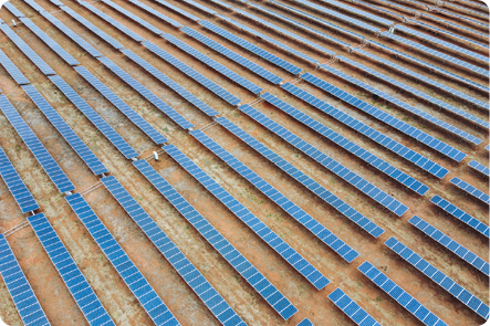 Fotografia. Vista aérea de um lugar com muitas placas retangulares, dispostas lado a lado, formando fileiras.