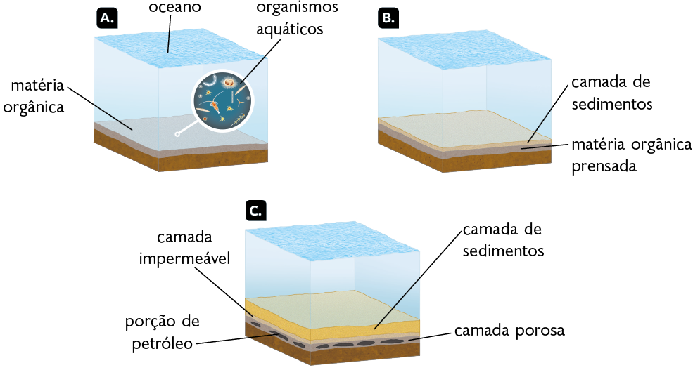 Ilustrações em sequência. A. Na parte inferior, há terra. Acima, há uma camada fina de matéria orgânica com organismos aquáticos, compostos por estruturas arredondadas e compridas. Sobre elas, há um oceano. B. Na parte inferior, há terra. Acima, há uma camada fina de matéria orgânica prensada. Acima dela, há uma camada de sedimentos. Sobre elas, há um oceano. C. Na parte inferior, há terra. Acima, há uma camada porosa com porções de petróleo representadas por manchas escuras. Em cima, há uma camada impermeável seguida de uma camada de sedimentos. Sobre elas, há um oceano.