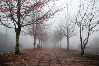 Fotografia. Calçada com folhas no chão e banco lateral. Há árvores secas nas laterais e neblina que ofusca os elementos que estão ao fundo da foto.