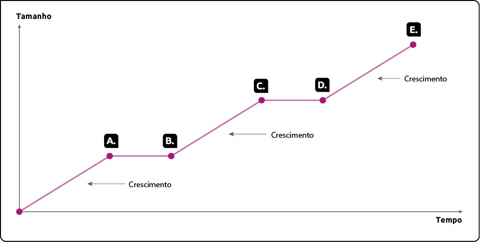 Gráfico de linha. No eixo vertical está o tamanho e no eixo horizontal está o tempo. Há um crescimento indicado de 0 até o ponto marcado com a letra A que fica estável até o ponto marcado com a letra B. Há um crescimento indicado entre o ponto marcado com a letra B e o ponto marcado com a letra C. Há uma constância entre o ponto marcado com a letra C e o ponto marcado com a letra D. E há um crescimento indicado entre o ponto marcado com a letra D e o ponto marcado com a letra E.