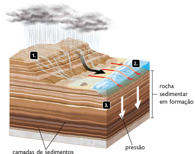 Ilustração com um recorte de trecho de terra. Na superfície, montanhas, areia e o oceano; abaixo, as camadas de sedimentos. Em cima das montanhas, nuvens com chuva. Indicada pelo número 1, a água da chuva cai sobre a superfície e escorre. Uma seta indica a água e sedimentos indo em direção a areia e ao oceano. Setas saindo da areia, indicando deposição de sedimentos no oceano. Esse processo está indicado pelo número 2. E indicado pelo número 3. nas camadas de sedimentos, uma seta em direção para baixo, indicando pressão nas camadas de sedimentos mais inferiores; destaque para as camadas de rocha sedimentar em formação.