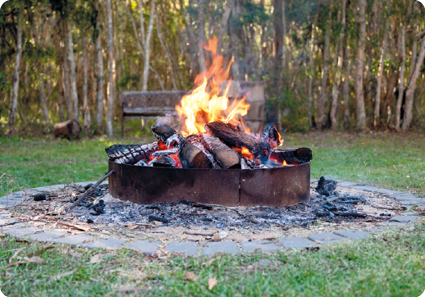 Fotografia. Em chão com grama, uma fogueira dentro de um recipiente de metal com lenha em chamas. Ao fundo, árvores.