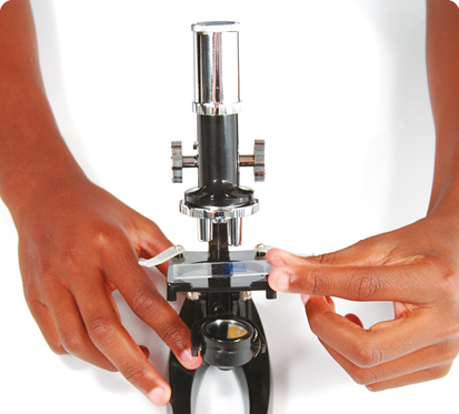 Fotografia. Duas mãos sobre um microscópio preto manuseando uma placa transparente com uma mancha escura.