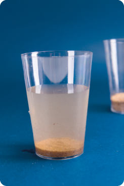 Fotografia. Um copo transparente contendo água turva e areia na parte inferior. Ao fundo, outro copo com areia.