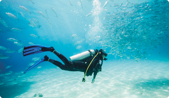 Fotografia. Um mergulhador dentro da água, rodeado por vários peixes e próximo ao relevo do local em que está mergulhando. Ele veste um traje preto de mangas e pernas compridas, usa uma máscara de mergulho, pés de pato e carrega um cilindro nas costas.
