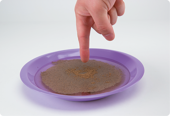 Fotografia. Um prato contendo água e um pó fino espalhado na superfície da água. Acima do prato há uma mão, com o dedo indicador esticado verticalmente acima da água, no centro do prato.