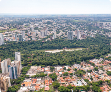 Fotografia. Vista aérea de um parque no meio da cidade. No centro, há uma área com vegetação densa de cor verde-escura, formada principalmente por árvores, com um lago no meio. Ao redor, há prédios e casas com árvores entre eles.