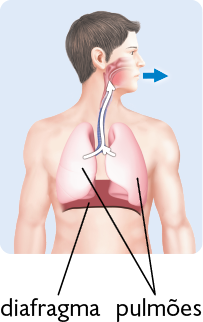 Ilustração. Vista frontal da silhueta de um corpo humano, do abdome para cima, com destaque para o sistema respiratório. Dentro do corpo o diafragma, está expandido. Duas setas brancas estão saindo dos pulmões, se unindo e indo em direção à traqueia e à laringe. Fora do corpo, há uma seta azul apontando para fora da boca.