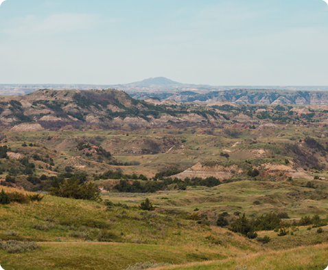 Fotografia. Vista de uma região com vegetação baixa. Há grama e arbustos verdes. Ao fundo, há montanhas.