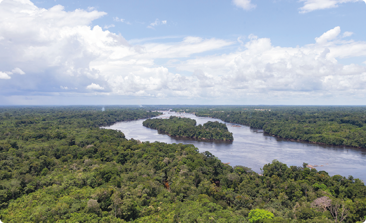 Fotografia. Vista aérea de uma floresta com um rio e uma ilha no meio. Há várias árvores com folhas verdes.