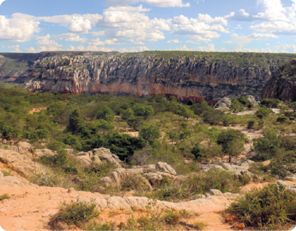 Fotografia. Vista de um ambiente com muita terra e rochas. A vegetação apresenta pequenos arbustos e árvores com uma variedade de tons de verde e amarelo. Ao fundo, uma montanha.