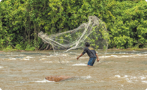 Fotografia. Homem dentro de um rio jogando uma rede de pesca. Ao fundo, várias árvores.