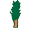 Ilustração de uma árvore com tronco de cor marrom-claro e copa fina, com folhas de cor verde-escuro.