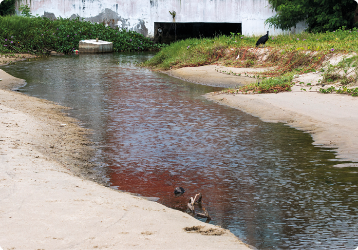 Fotografia de um trecho com esgoto de cor escura. Nas margens há areia e vegetação. E  ao fundo uma construção de onde está saindo o esgoto.