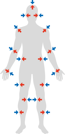 Ilustração. Silhueta de um corpo humano. Há setas azuis fora da silhueta, apontando para o corpo, e para cada seta azul há uma seta vermelha dentro da silhueta, apontando para fora do corpo, nas mesmas posições que as setas azuis. As posições são: pernas, joelhos, coxas, mãos, abdome, cotovelos, ombros, orelhas e cabeça.