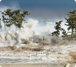 Fotografia ondas altas se chocando em árvores e área inundada com um veículo em meio à água. Ao fundo está o oceano.