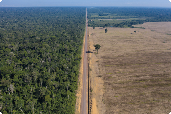 Fotografia aérea. À esquerda, uma área de vegetação repleta de árvores; ao meio uma rodovia; e, à direita, uma área com campo e pouca vegetação.