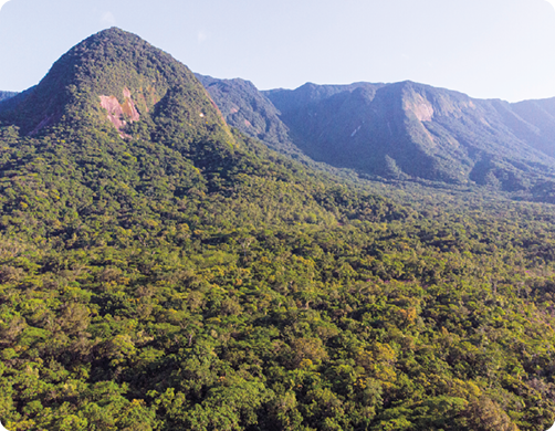 Fotografia. Vista aérea de uma região com vegetação densa de cor verde. Ao fundo, montanhas com vegetação por cima.