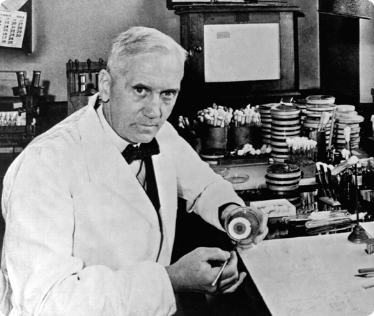 Fotografia da cintura para cima do cientista Alexander Fleming, em preto e branco. Ele está em um laboratório, e seu rosto está levemente virado para a direita. Ele tem cabelos claros e está vestindo um jaleco. Em uma das mãos, ele está segurando um recipiente redondo com estruturas circulares dentro e na outra, um instrumento com formato de haste. Ao fundo, há vários objetos redondos e achatados.