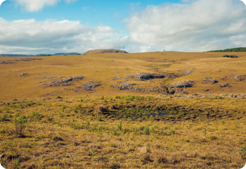 Fotografia. Vista de uma região com vegetação baixa. Há grama amarelada, arbustos verdes e algumas rochas. Ao fundo, há montanhas.