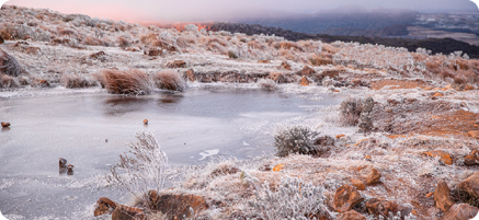 Fotografia de uma paisagem, com um lago com gelo na superfície, e no entorno, vegetação baixa encoberta por gelo.