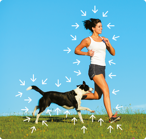 Fotografia. Uma mulher correndo em pé em um ambiente gramado, ao lado dela está um cachorro. Há várias setas contornando a imagem, apontando para a mulher e para o cachorro.