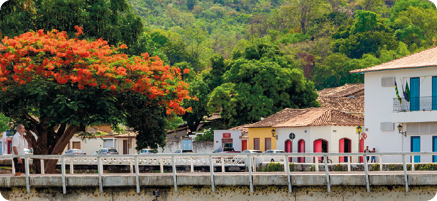 Fotografia de um local aberto com árvores ao fundo, construções, parte de uma ponte, e ao lado esquerdo, uma árvore florida.