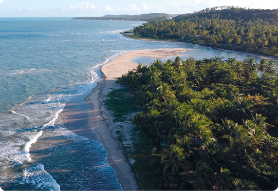 Fotografia. Vista aérea de um local com vegetação, areia e mar. Ao fundo, outro trecho de terra com vegetação.