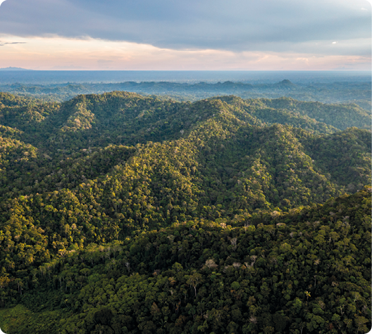 Fotografia. Vista aérea de uma área montanhosa coberta por vegetação.