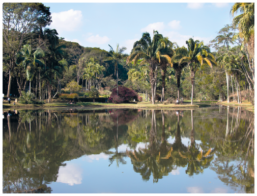 Fotografia. Vista de um amplo local aberto com um lago e muitas árvores ao redor.