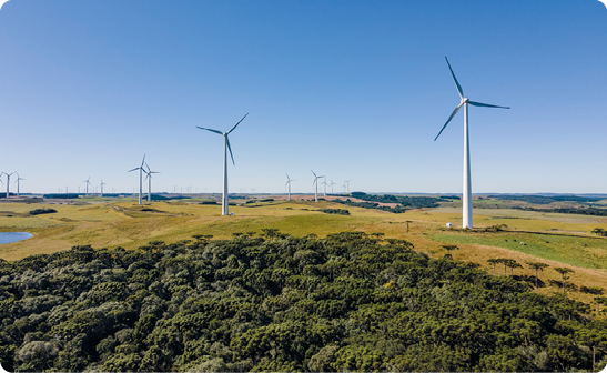 Fotografia. Vista aérea de um campo gramado, com algumas árvores, e vários aerogeradores, equipamentos com uma haste vertical alta e três hélices em sua extremidade.