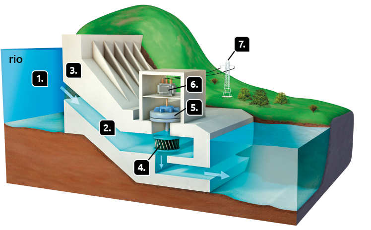 Esquema em recorte de uma usina hidrelétrica. Marcado com o número 1, do lado esquerdo, um rio, com nível de água alto. Há uma seta apontando para o número 2. Marcada com o número 2, um ducto para captação de água do rio. Marcada com o número 3, a barragem, localizada acima do rio. Ela é composta por uma parede alta com hastes verticais. Marcada com o número 4, após o ducto com água, encontra-se uma turbina, estrutura circular com várias pás. Há uma seta apontando para baixo, indicando o fluxo de água, e outra apontando para a direita, indicando a continuação em direção a um corpo de água do lado direito, com nível mais baixo. Acima da turbina, marcado com o número 5, um gerador elétrico, estrutura cilíndrica achatada. Acima dele, marcado com o número 6, há um transformador, estrutura quadrada com hastes verticais conectadas com fios na parte superior das hastes. Marcado com o número 7, há uma torre elétrica em meio a um ambiente gramado com árvores.