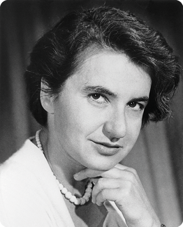 Fotografia. Retrato em preto e branco da química Rosalind Elsie Franklin, dos ombros para cima, com uma mão apoiada no queixo. Ela possui cabelo curto escuro, veste uma roupa clara e usa um colar.