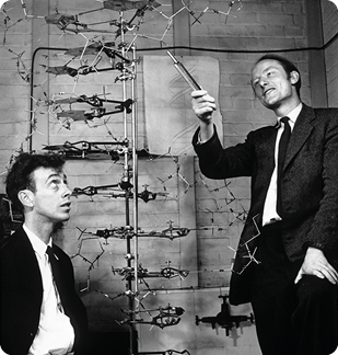 Fotografia em preto e branco de dois homens ao lado de uma estrutura formada por hastes. O homem à esquerda aparece da cintura para cima, com cabelo curto e olhando para cima. Ele usa uma camisa branca, gravata e paletó preto. Já o homem à direita aparece dos joelhos para cima, com cabelo curto, olhando e apontando para a estrutura no centro. Ele usa uma camisa branca, gravata e paletó preto. No centro, há uma estrutura com duas hastes verticais compridas e várias hastes horizontais e diagonais menores presas a elas, formando uma estrutura em forma de escada retorcida.