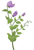 Ilustração. Uma planta com caule alto, folhas verdes e ramificações. Ele possui flores roxas.