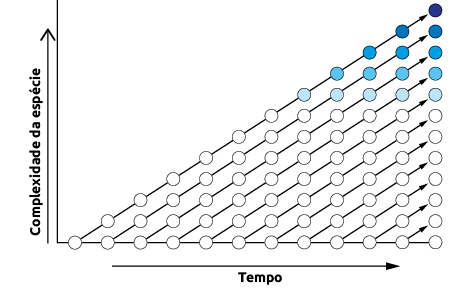 Ilustração de um gráfico, sem dados numéricos. Na horizontal, o tempo, com uma seta apontando para direita e, no eixo vertical, a complexidade da espécie, com uma seta apontando para cima. No eixo horizontal há círculos brancos partindo de vários momentos, e de cada um deles parte uma seta diagonal que vai em direção à extremidade direita. Em cada uma dessas setas o círculo branco se repete a determinados intervalos de tempo, e quanto mais alto ele fica mais azul ele se torna.